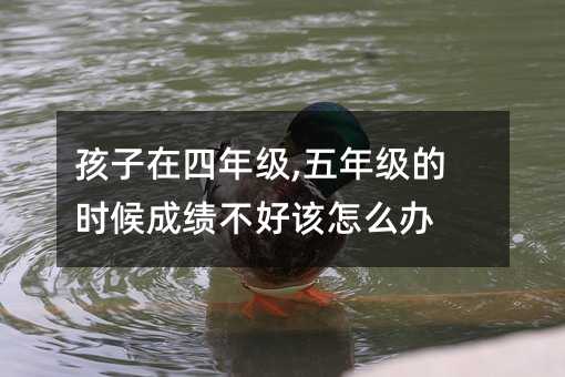 ���������꼶,���꼶��ʱ��ɼ����ø���ô��