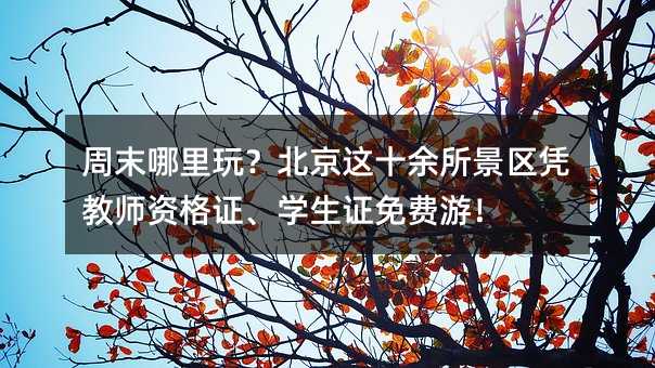 ��ĩ�����棿������ʮ��������ƾ��ʦ�ʸ�֤��ѧ��֤����Σ�