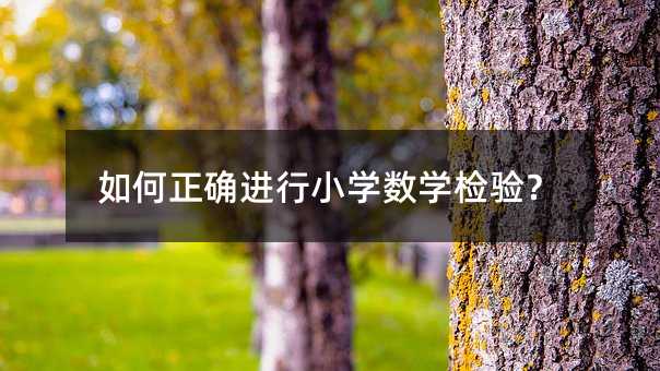 如何正确进行小学数学检验?