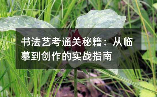 书法艺考通关秘籍:从临摹到创作的实战指南