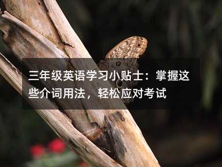 ���꼶Ӣ��ѧϰС��ʿ��������Щ����÷�������Ӧ�Կ���