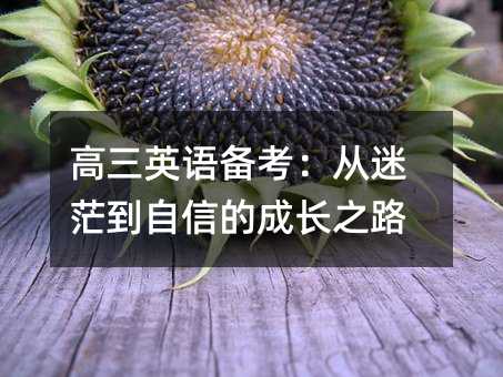 ����Ӣ�ﱸ��������ã�����ŵĳɳ�֮·