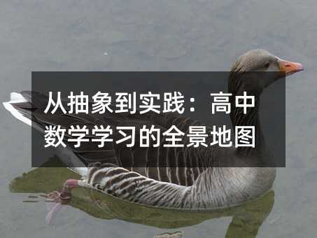 �ӳ���ʵ����������ѧѧϰ��ȫ����ͼ