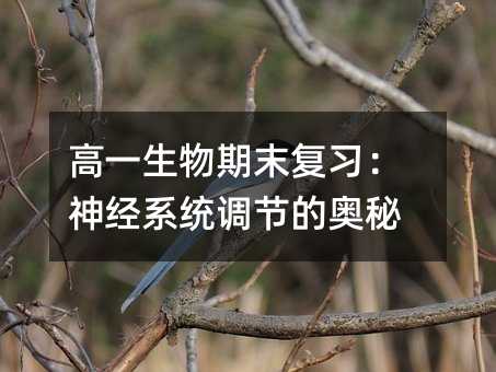高一生物期末复习:神经系统调节的奥秘