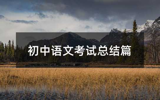 初中语文考试总结篇