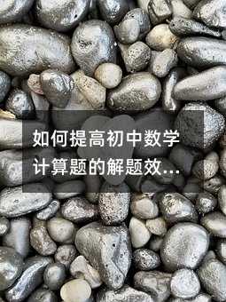 �����߳�����ѧ������Ľ���Ч�ʺ�׼ȷ�ԣ�