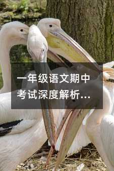 一年级语文期中考试深度解析:从错题本到能力进阶的六大突破口