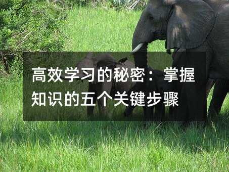 ��Чѧϰ�����ܣ�����֪ʶ������ؼ�����