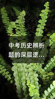 中考历史辨析题的深层逻辑:如何用思维穿透历史迷雾