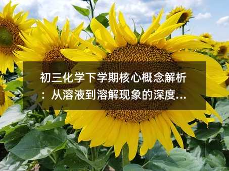 ������ѧ��ѧ�ں��ĸ������������Һ���ܽ�������������