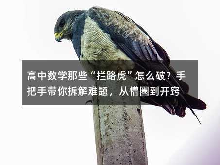 ������ѧ��Щ����·������ô�ƣ��ְ��ִ��������⣬����Ȧ������