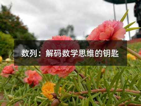 ���У�������ѧ˼ά��Կ��