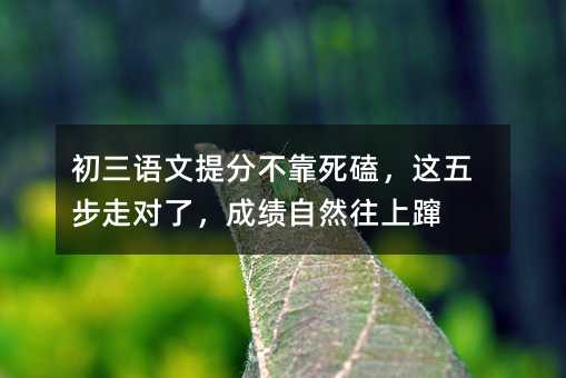 初三语文提分不靠死磕,这五步走对了,成绩自然往上蹿