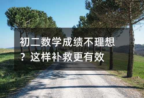 初二数学成绩不理想?这样补救更有效