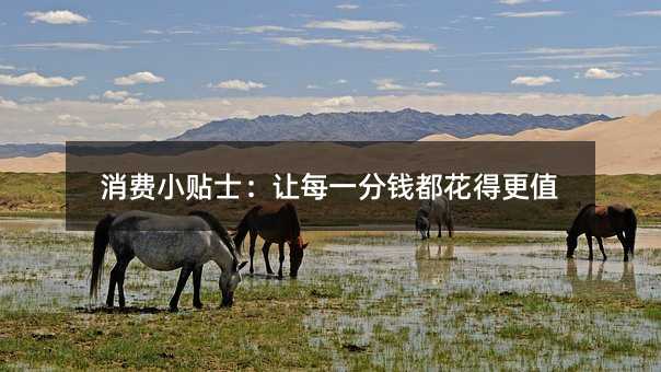 消费小贴士:让每一分钱都花得更值