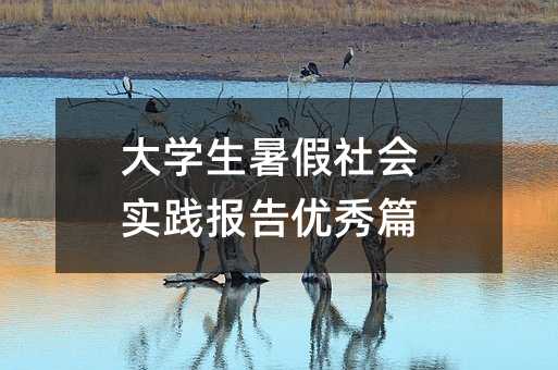 大学生暑假社会实践报告优秀篇