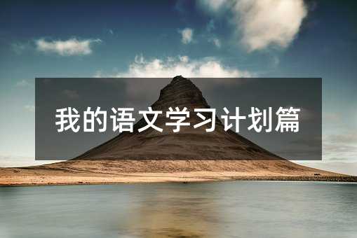 我的语文学习计划篇