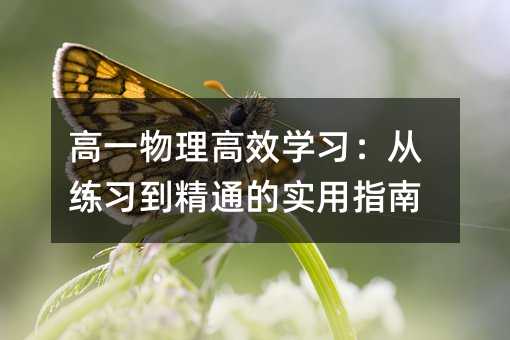 高一物理高效学习:从练习到精通的实用指南