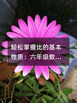 轻松掌握比的基本性质:六年级数学的实用指南