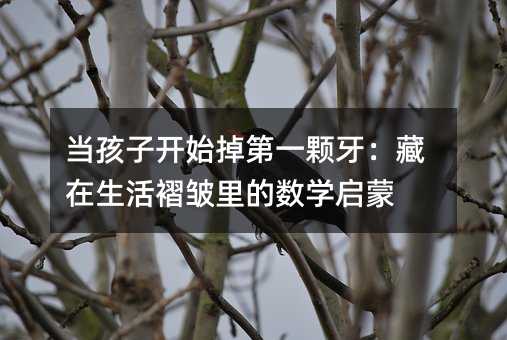 当孩子开始掉第一颗牙:藏在生活褶皱里的数学启蒙