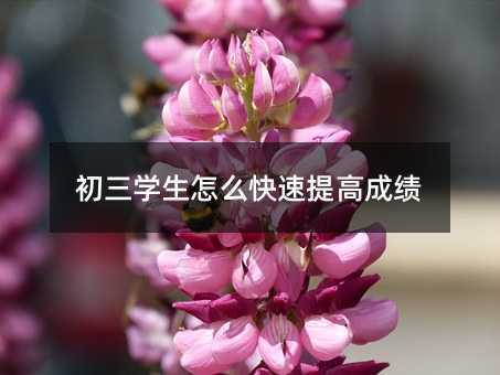 初三学生怎么快速提高成绩