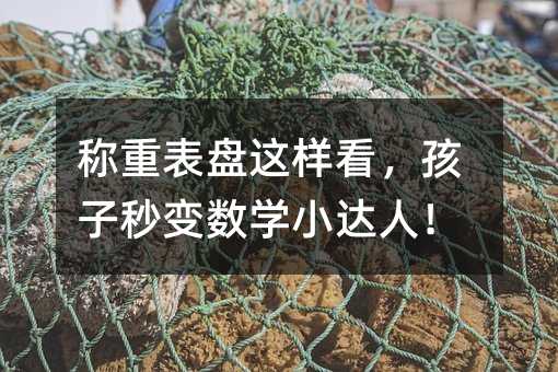 称重表盘这样看,孩子秒变数学小达人!