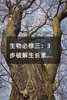 �����������3���ƽ��������Ծ֣��ӡ���Ȧ�������붮��