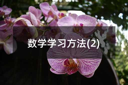 ��ѧѧϰ����(2)