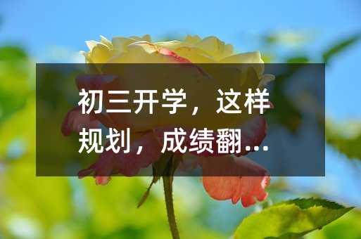 ������ѧ�������滮���ɼ�������