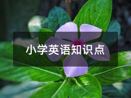 СѧӢ��֪ʶ��