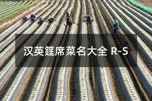 ��Ӣ�jϯ������ȫ R-S