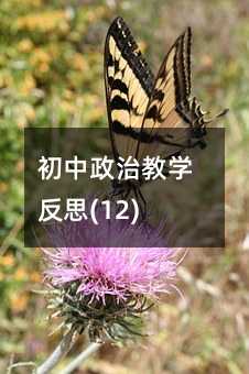 �������ν�ѧ��˼(12)