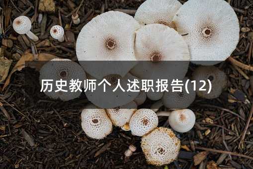 ��ʷ��ʦ������ְ����(12)