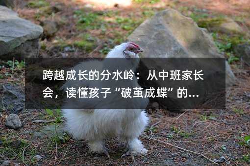 ��Խ�ɳ��ķ�ˮ�룺���а�ҳ��ᣬ�������ӡ��Ƽ�ɵ������ź�