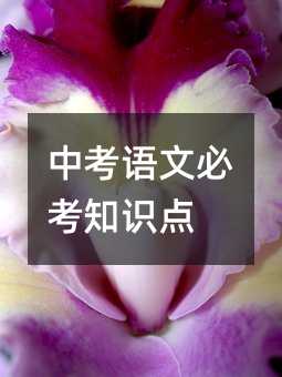 �п����ıؿ�֪ʶ��