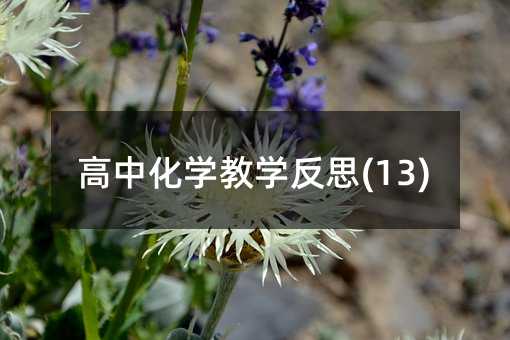 ���л�ѧ��ѧ��˼(13)
