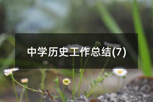 中学历史工作总结(7)