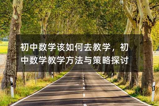 初中数学该如何去教学,初中数学教学方法与策略探讨