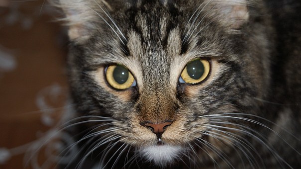 �����ѧ���ѧ��ְҵ���Ĺ滮��(8)