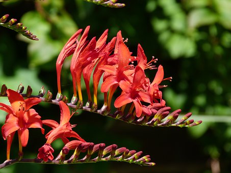 �༶΢��Ⱥ ��ʦ�����ж�ʹ