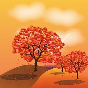 �������Ľ�ѧ��˼(15)