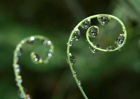 �Ǹ����Ϸ��ŵ����꣬���ھ���һ�������ĺ�Х