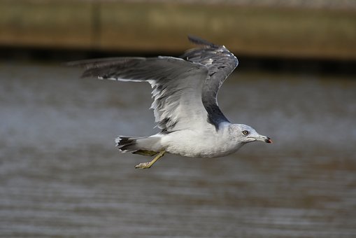 2012�����忼������ �߿��ɼ�Ҳ��Ч