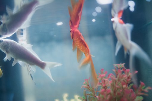 ��͸ũҵ��λ���أ��߶��������١�����������