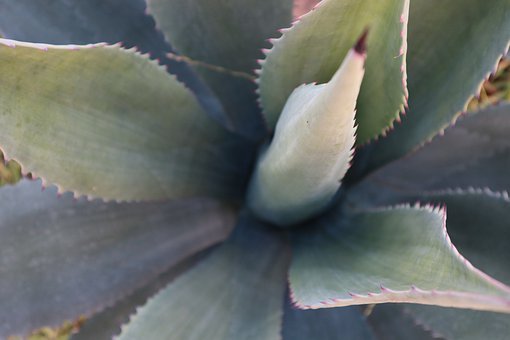 �߶������ѧ�����ܽ�(1)