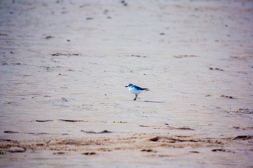 美术家教的所浅陋之见