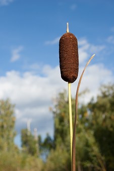 六盏灯,照亮坂田的语文课堂