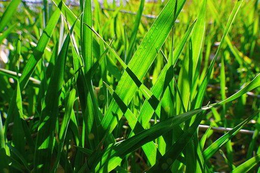 ��θ�Ч������ѧ��ѧ