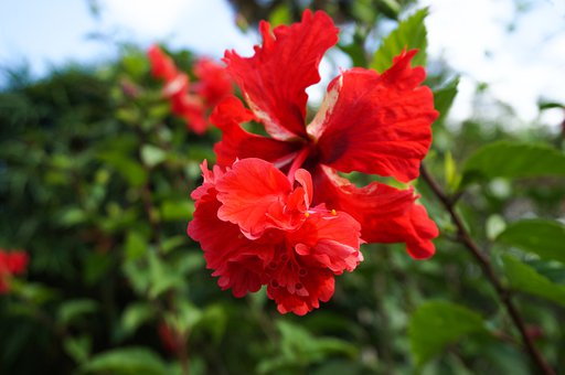 《行走的死亡沙漠》有感