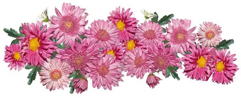 孩子厌学背后,藏着向父母发出的求救信号